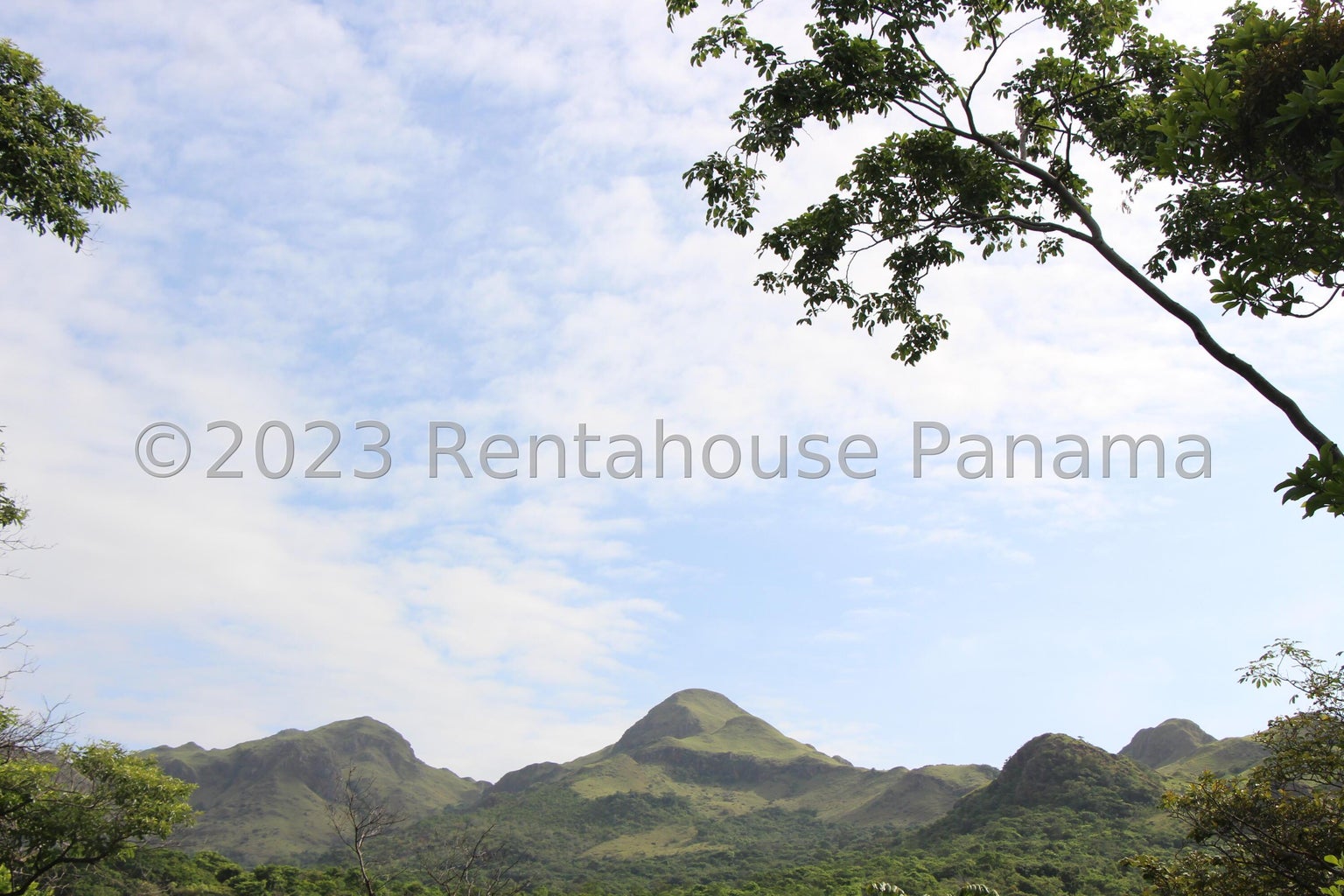 Commercial Property for Sale in Panama City Panamá Province